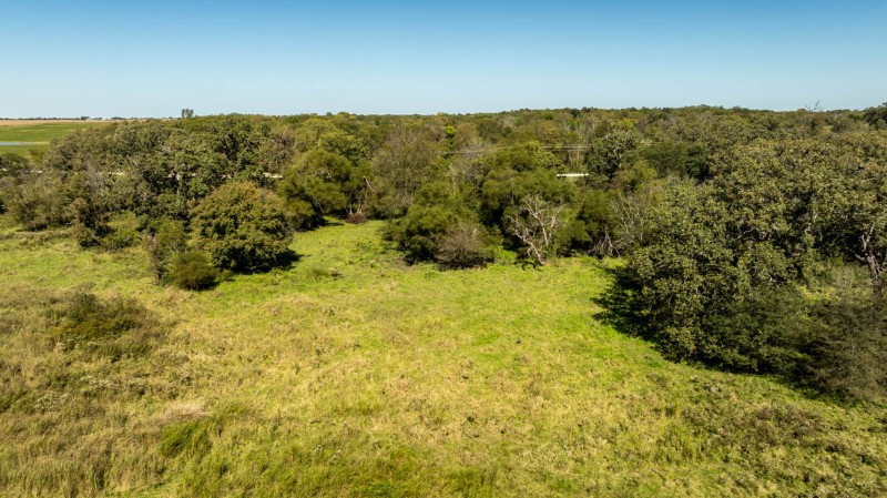 Listing photo 6